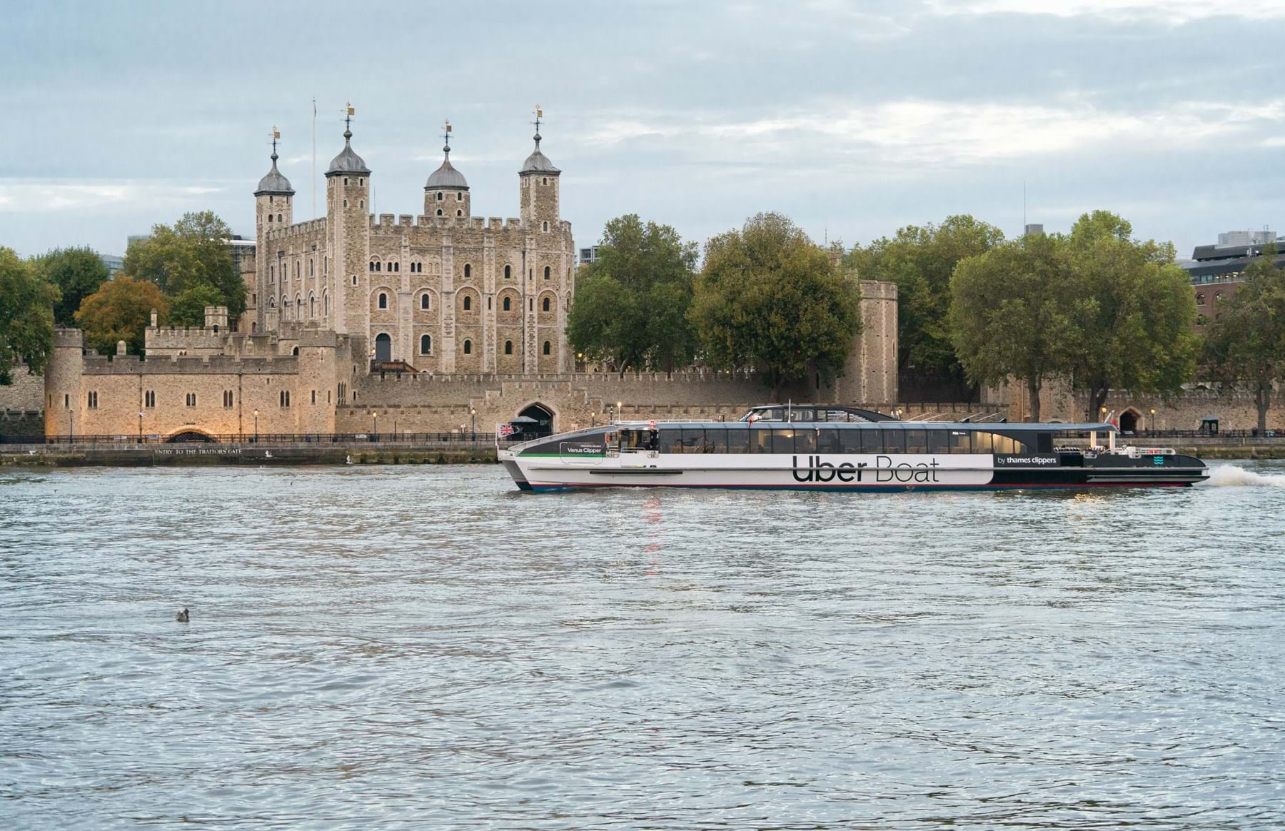 Venus at Tower