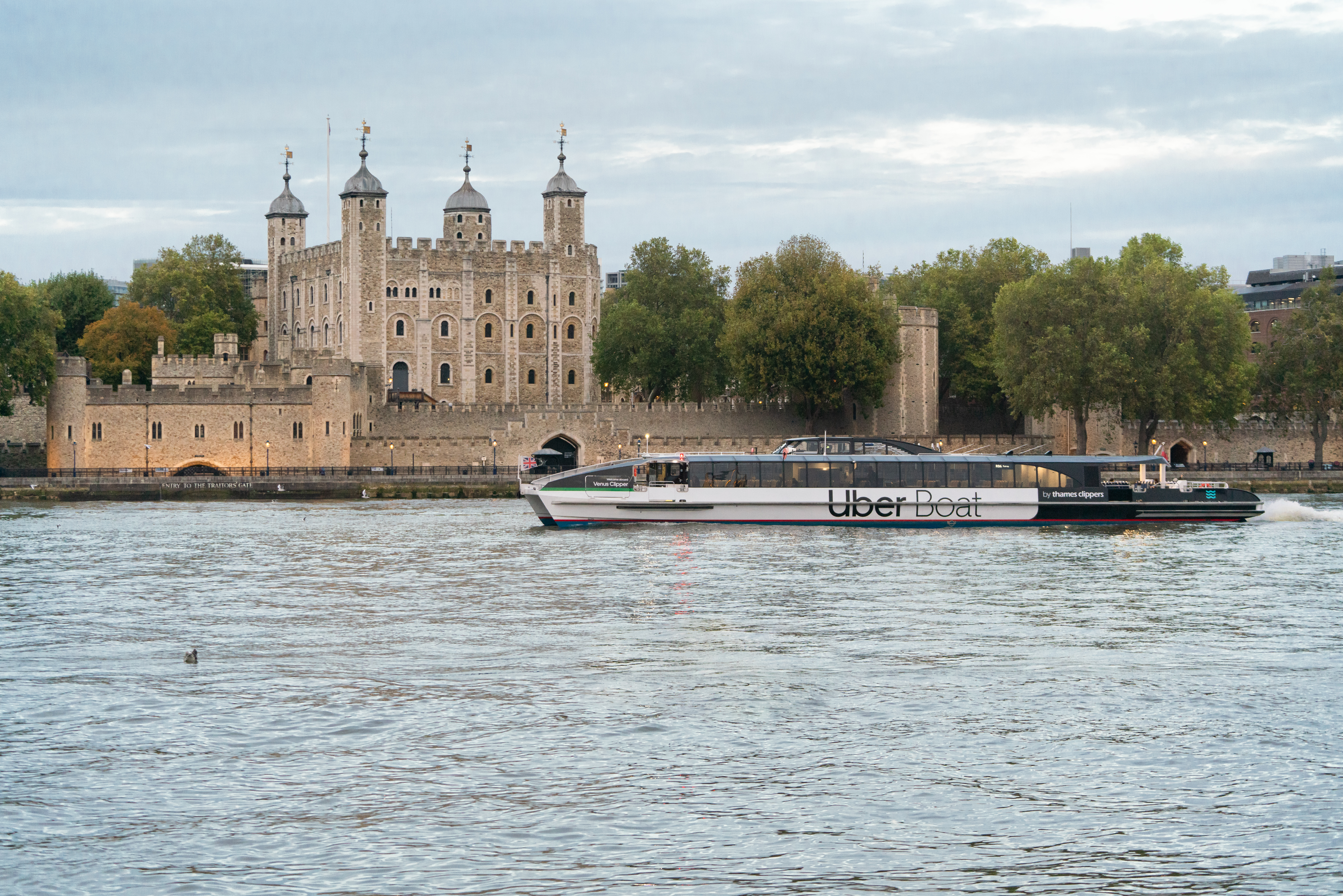 Venus Clipper at Tower