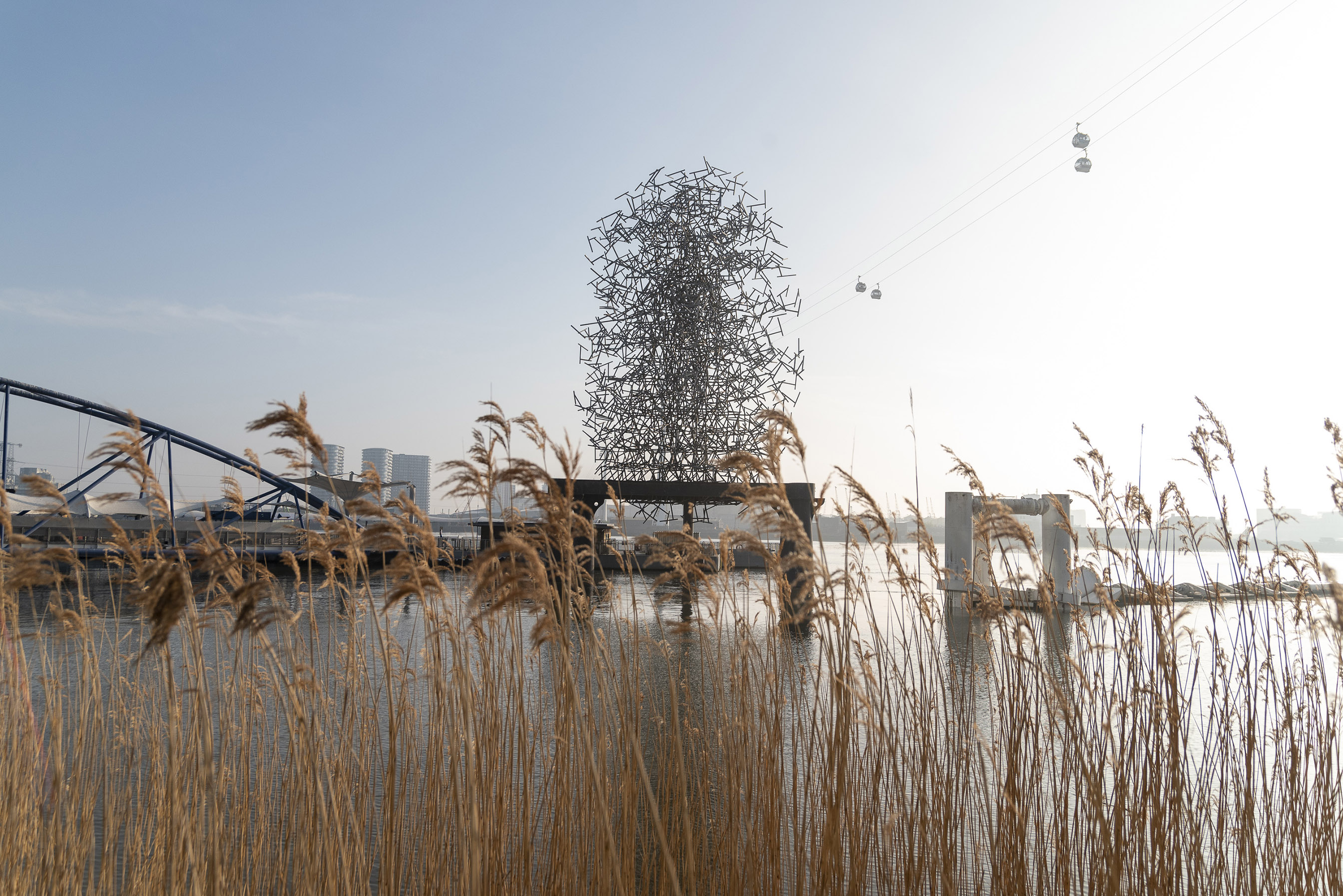 The Line (Emily Lovell)