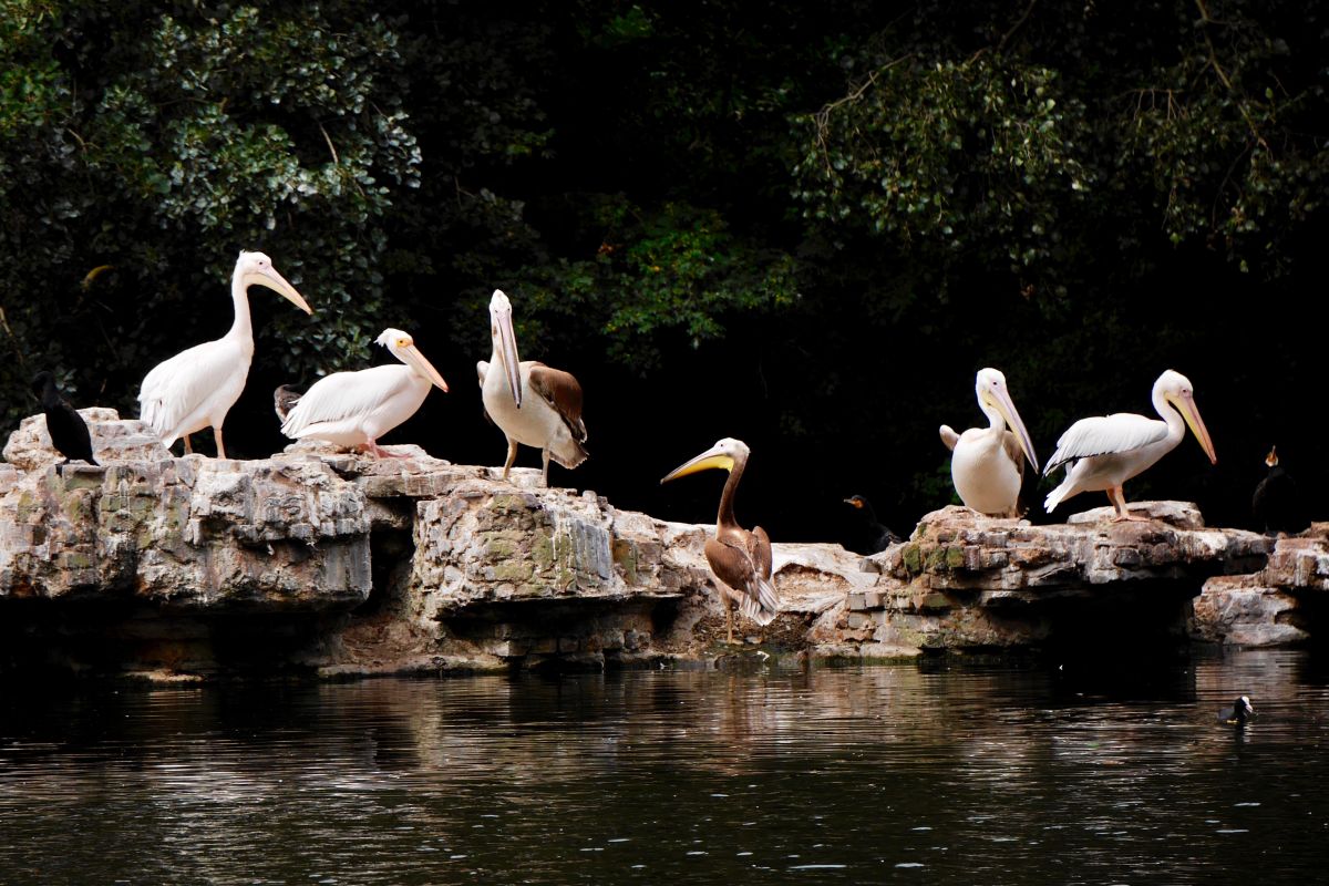 St James Park Westminster