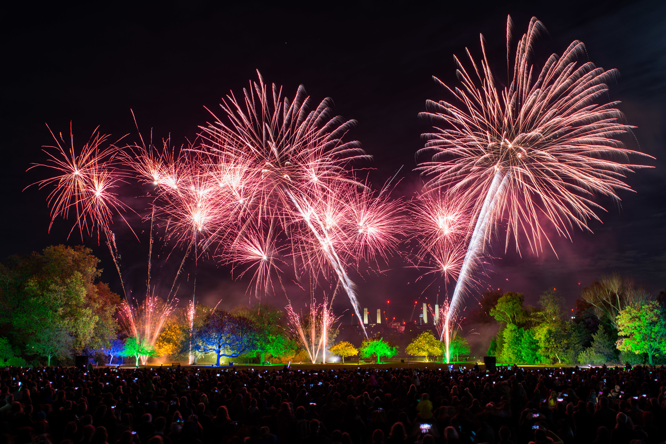 Battersea Park Fireworks (1)