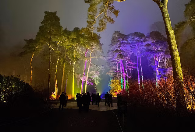 944F4d 22Df44f6e11a4a069d093614cf46237c~Mv2